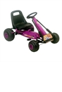 Purple Racing Team Go Kart