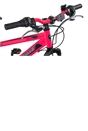 Team GX 24 Inch Pink Bike