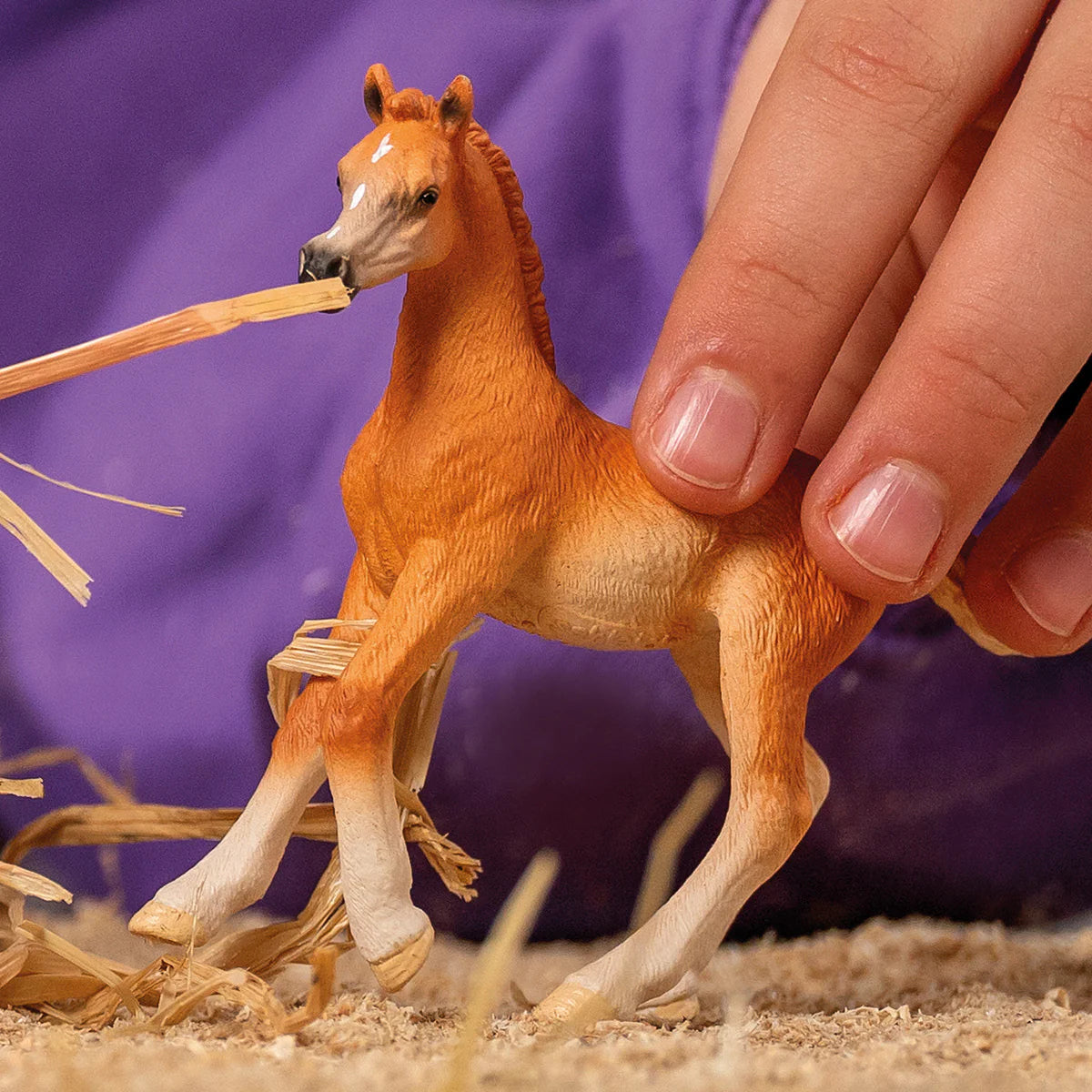 Schleich Horse Club Arabian Foal
