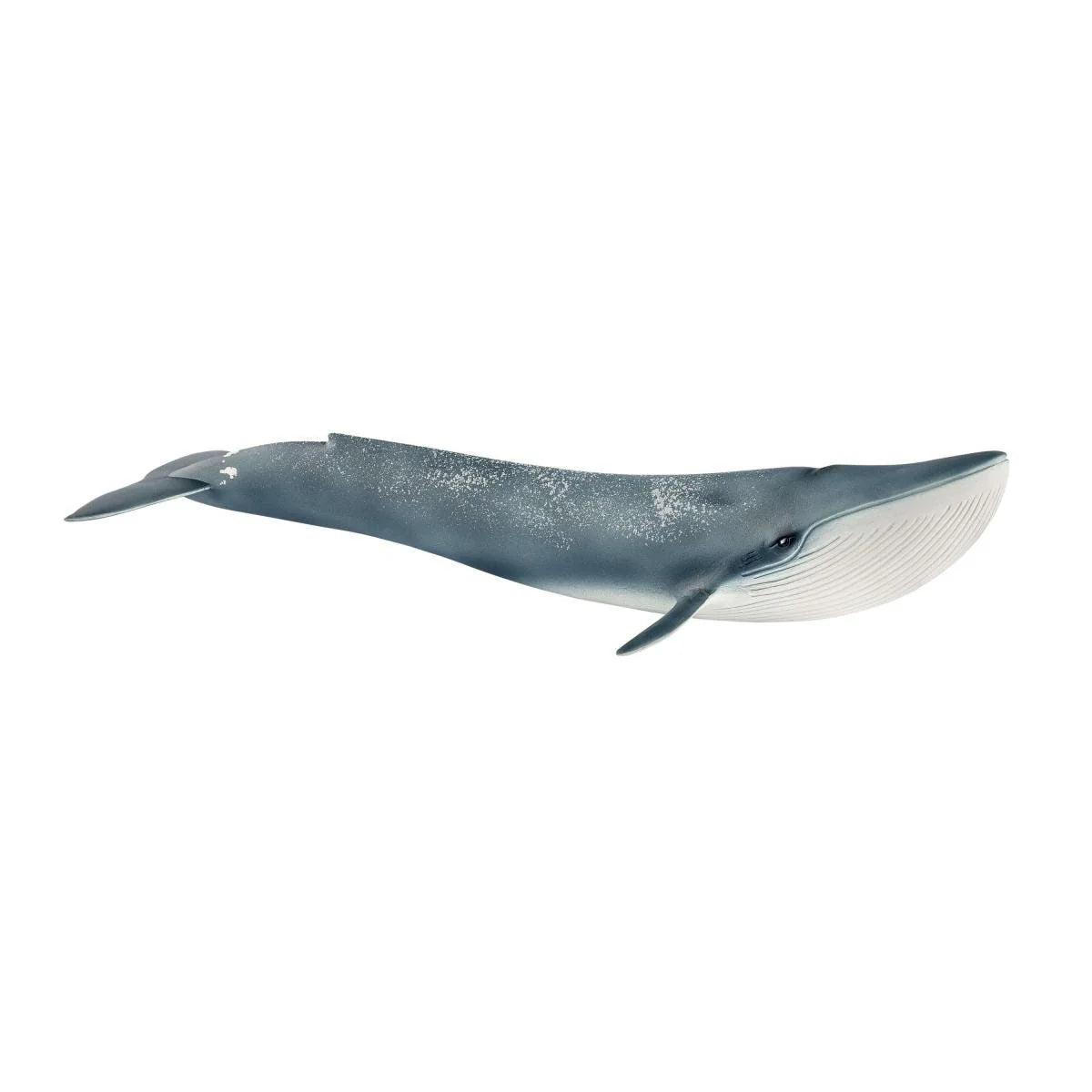 Schleich Wild Life 14806 Blue Whale Figure