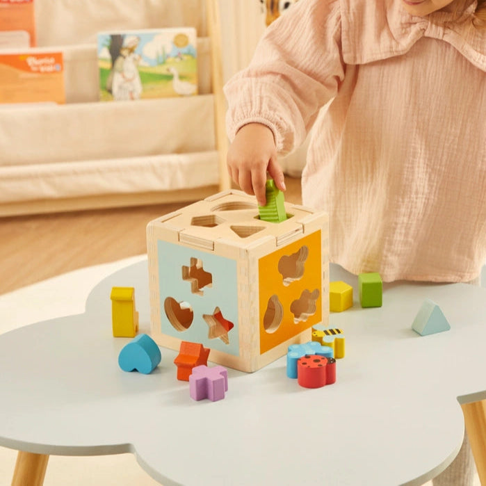 Squirrel Play Wooden Sorting Cube