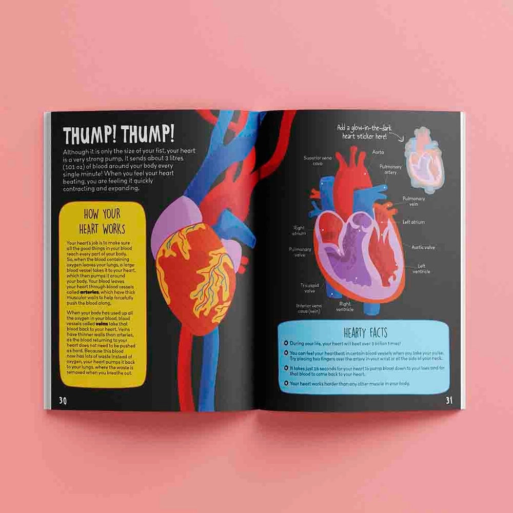 Know And Glow Human Body Sticker Activities Book