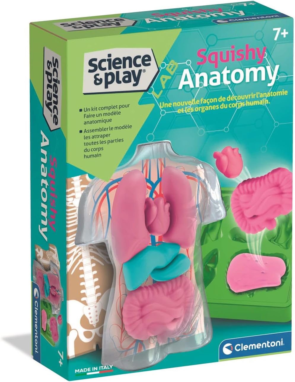 Clementoni Squishy Anatomy