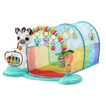Vtech 6-In-1 Move & Grow Activity Tunnel