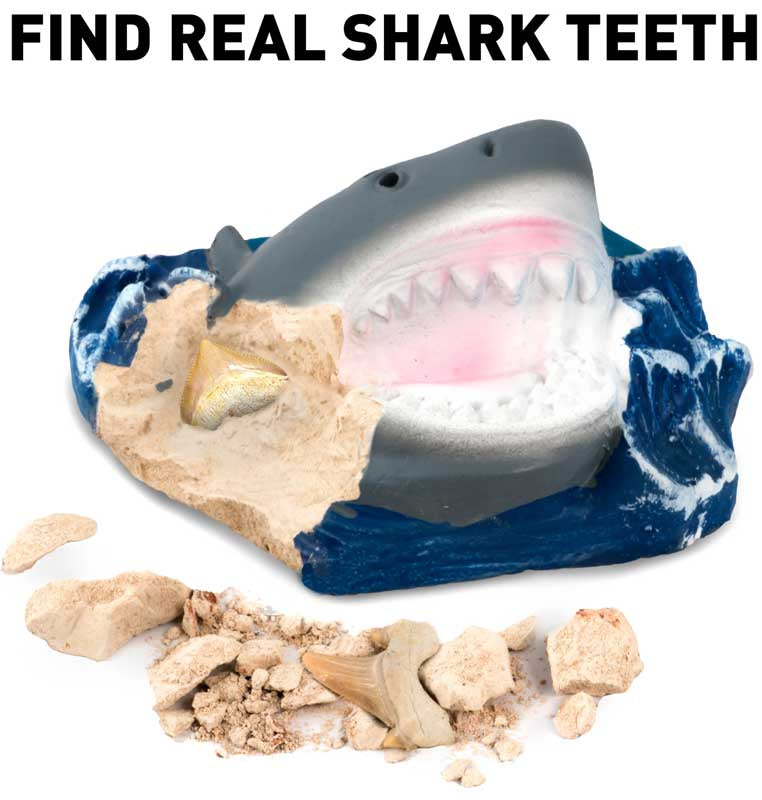 National Geographic Shark Dig Kit