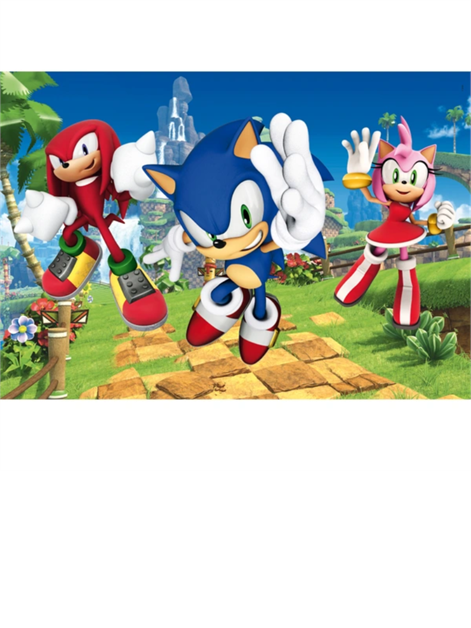 48pc and 100pc Sonic The Hedgehog Puzzle