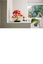 LEGO® Botanicals Japanese Red Maple Bonsai Tree Plant Decor 10348