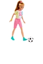 Barbie Sisters Dolls and Accessories Giftset