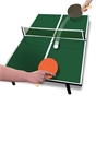 Tabletop Ping-Pong Game