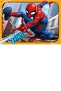 Spider-man 4 in a Box