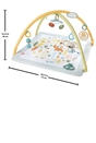 Fisher-Price Simply Senses Newborn Gym