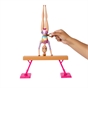 Barbie Gymnastics Doll and Playset