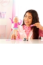 Barbie Dream Besties - Barbie Malibu Doll and Accessories