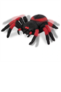 Terra Remote Control Spider Tarantula