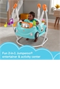 Fisher-Price 2-in-1 Sweet Ride Jumperoo Activity Centre