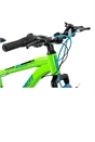 24 Inch Team Mountain Bike in Green and Blue