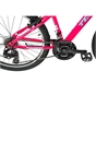 24 Inch Team Mountain Bike in Pink and Sky Blue