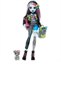 Monster High Frankie Stein Doll with Pet & Accessories