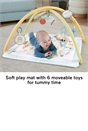 Fisher-Price Simply Senses Newborn Gym