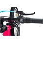 24 Inch Team Mountain Bike in Pink and Sky Blue