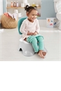 Fisher-Price 3-in-1 Potty