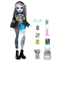 Monster High Frankie Stein Doll with Pet & Accessories