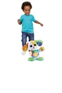 LeapFrog Dance-Around Learning Hound Toy