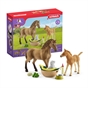 Schleich Horse Club 42432 Sarah's Baby Animal Care Set