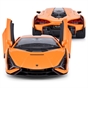 1:14 Lamborghini Sian Radio Control Car