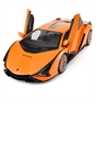 1:14 Lamborghini Sian Radio Control Car