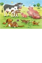 Ravensburger Farm Animals 2x12 piece Jigsaw Puzzles