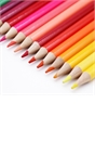 Crafty Co. Coloured Pencils 36 Pack