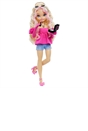 Barbie Dream Besties - Barbie Malibu Doll and Accessories