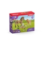 Schleich Horse Club 42432 Sarah's Baby Animal Care Set