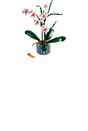 LEGO 10311 Orchid Plant & Flowers Set, Botanical Collection