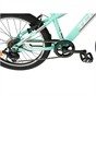 20 Inch Team Mountain Bike in Mint and Pink