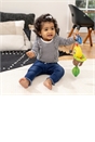 Baby Einstein Cal-a-Puller Pull & Shake Toy