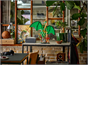 LEGO® NINJAGO® The Guardian Dragon Display 71847
