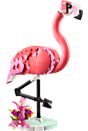 LEGO Creator 3in1 Wild Animals: Pink Flamingo 31170