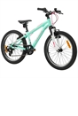 20 Inch Team Mountain Bike in Mint and Pink