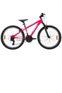 24 Inch Team Mountain Bike in Pink and Sky Blue