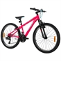 24 Inch Team Mountain Bike in Pink and Sky Blue