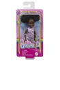 Barbie Chelsea Doll Assortment