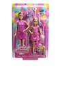 Barbie Celebration Fun Photobooth Playset