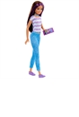 Barbie Sisters Dolls and Accessories Giftset