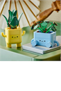 LEGO® Botanicals Happy Plants Shelf Decor 10349