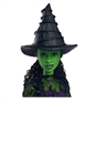 Wicked 29cm Elphaba Doll