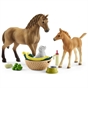 Schleich Horse Club 42432 Sarah's Baby Animal Care Set