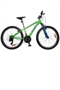 24 Inch Team Mountain Bike in Green and Blue