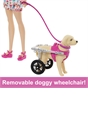 Barbie Doll With A Pup And Dog in A Wheelchair, Plus Pet Accessories